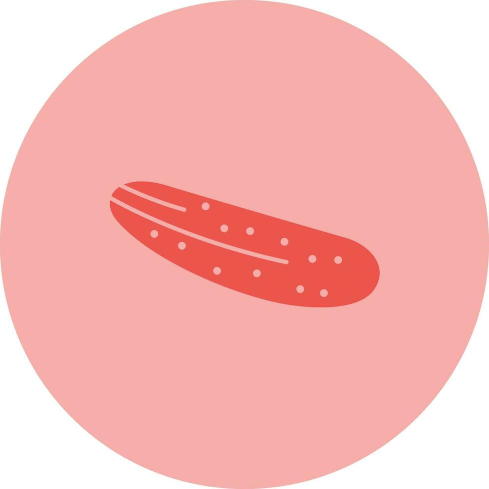 Cucumber Vector Icon