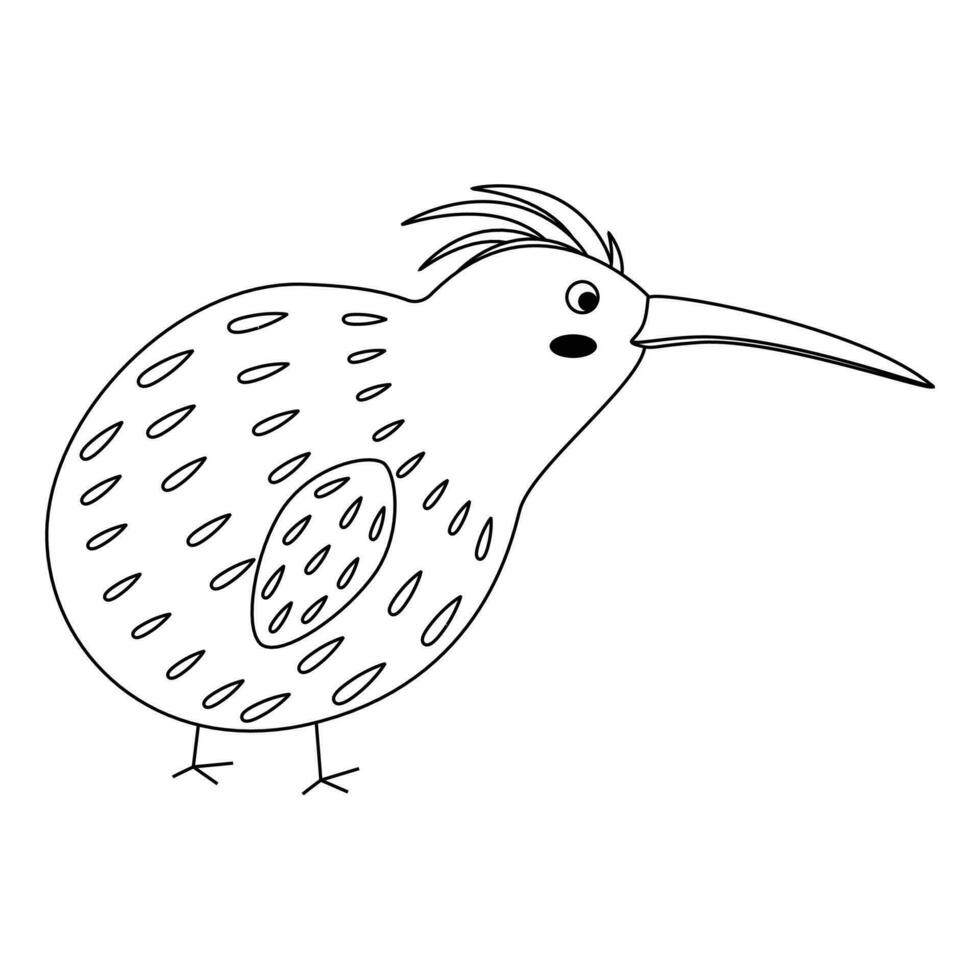 Cute, cartoon kiwi bird. Line art. vector