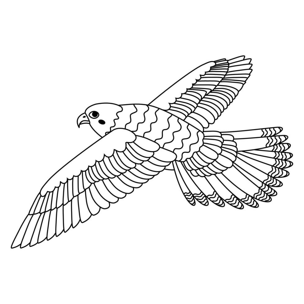 Cute, cartoon falcon bird. Line art. vector