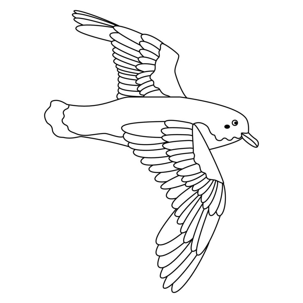 lindo, dibujos animados petrel pájaro. línea Arte. vector