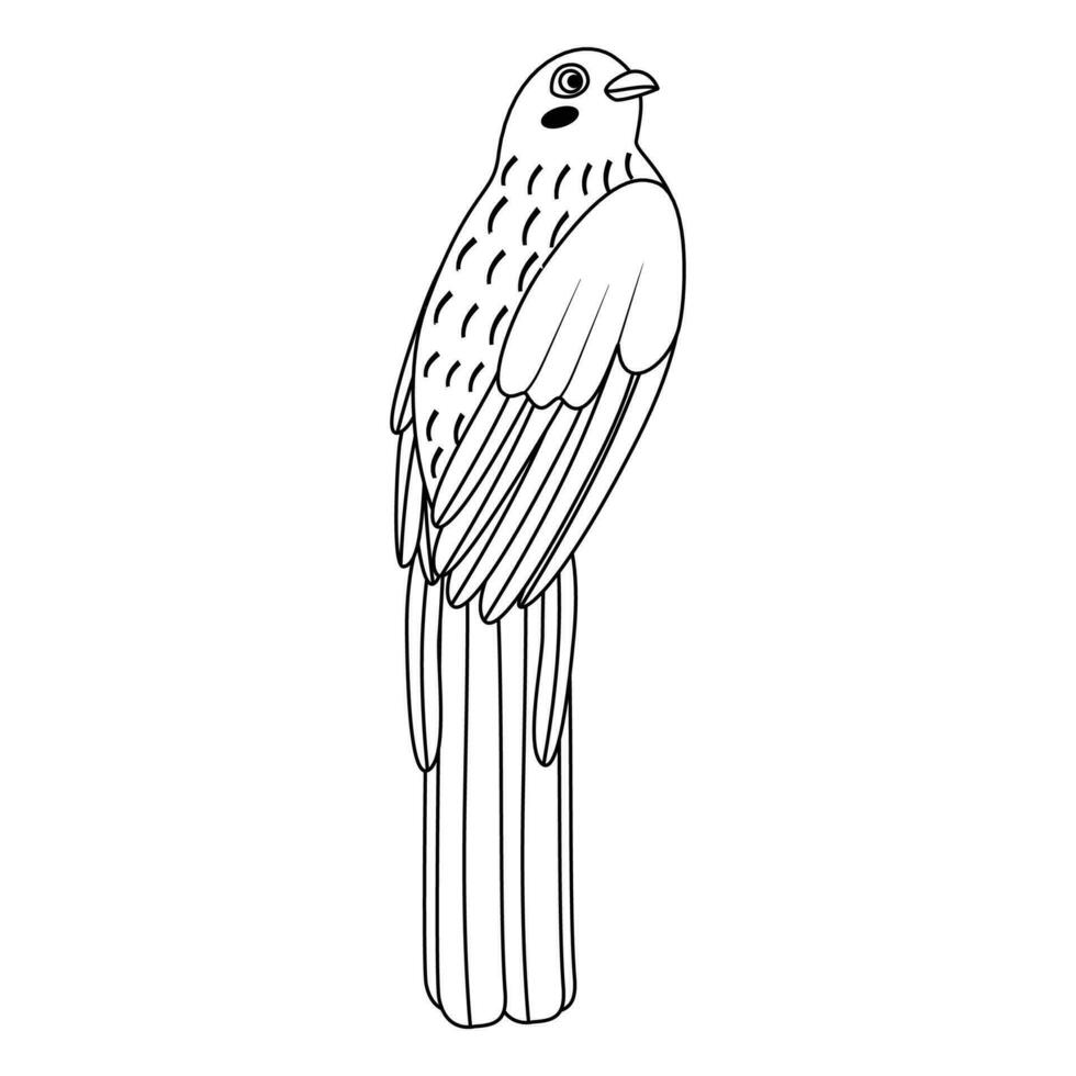 lindo, dibujos animados trogon pájaro. línea Arte. vector