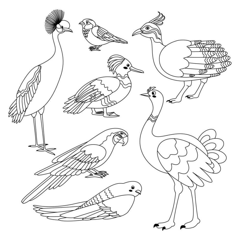 conjunto de aves grua, gorrión, tinamú, pato, loro, rápido, avestruz. vector