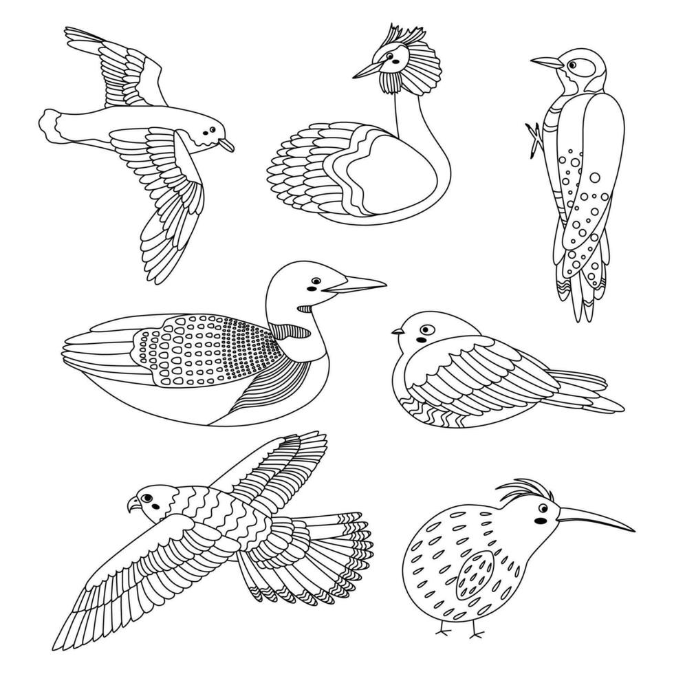 Set of birds petrel, grebe, woodpecker, loon, goatsucker, falcon, kiwi. vector