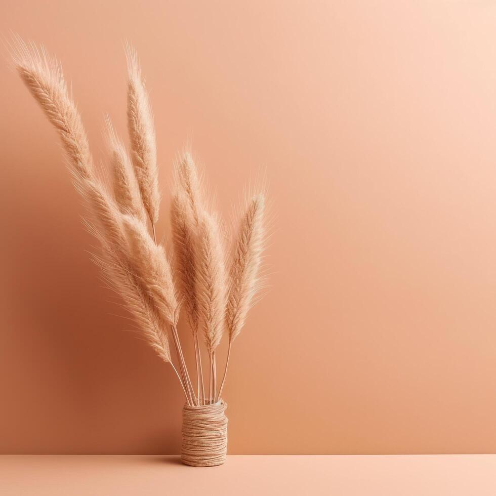 Pampas grass beige minimalist background. Illustration photo