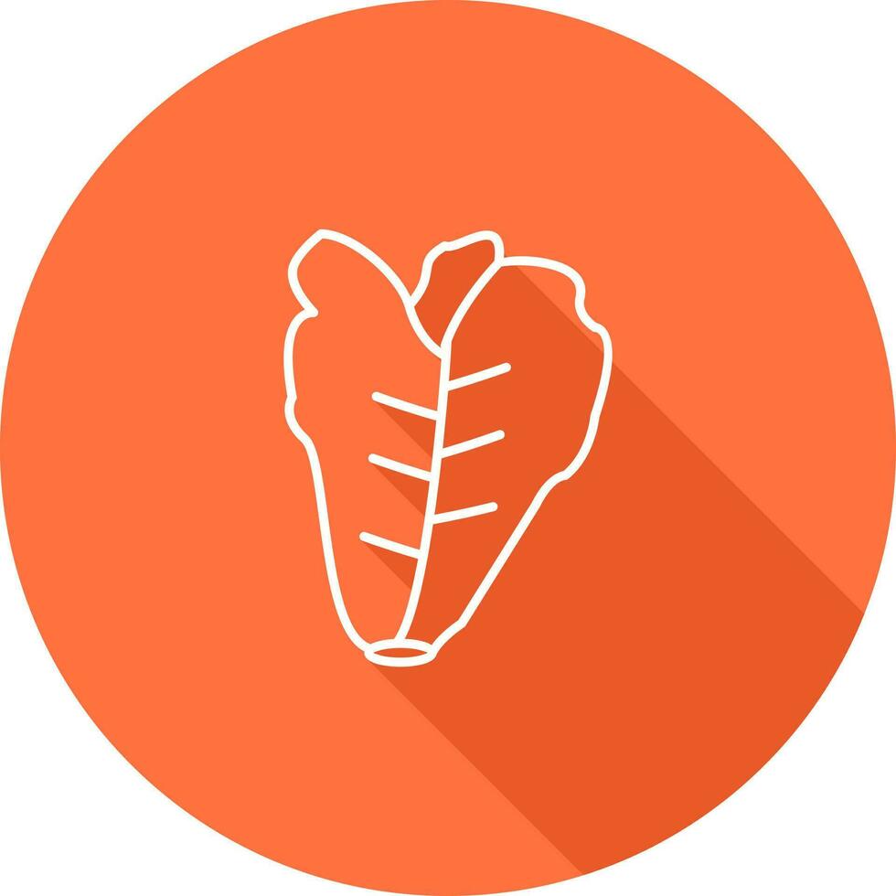 Lettuce Vector Icon