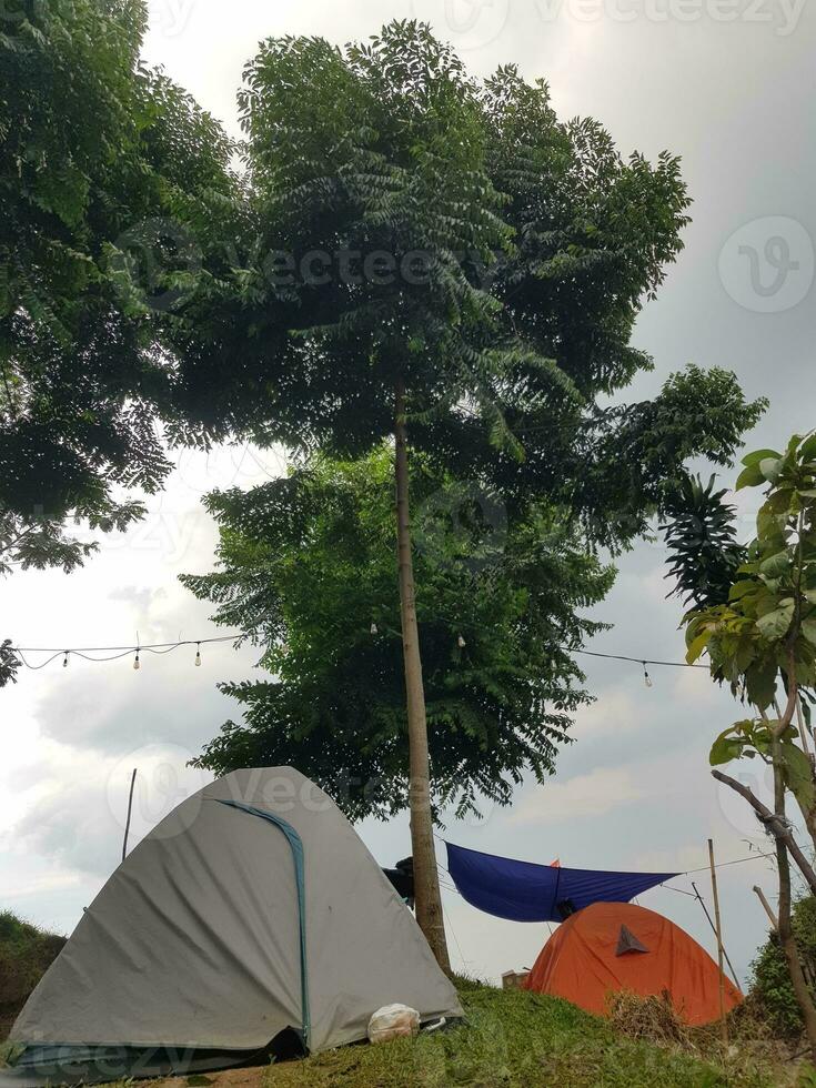 algunos carpas cámping en un colina. ceniza y naranja de colores carpas allí es además un hamaca adjunto a el árbol. foto