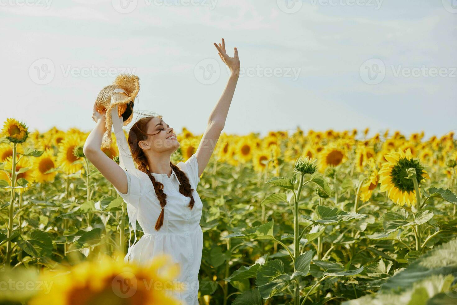 woman with two pigtails looking in the sunflower field unaltered photo