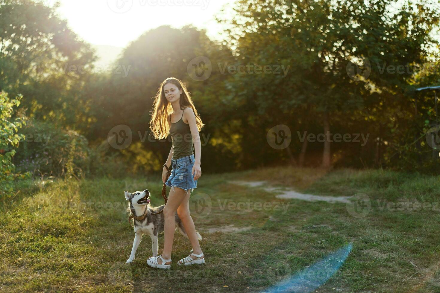 Woman and her husky dog walking happily on the grass in the park smile with teeth in the fall walk with her pet, travel with a dog friend photo