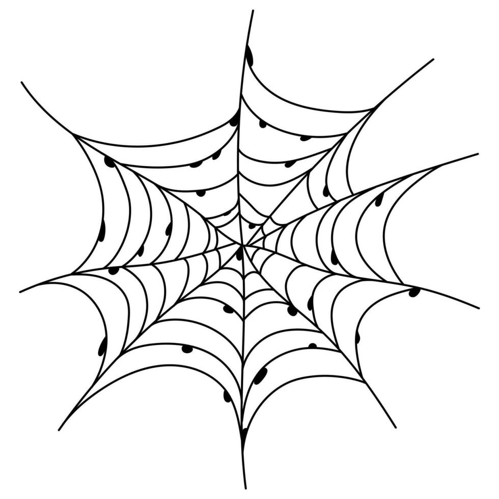 Scary spider web isolated. Spooky Halloween decoration. Outline cobweb illustration vector