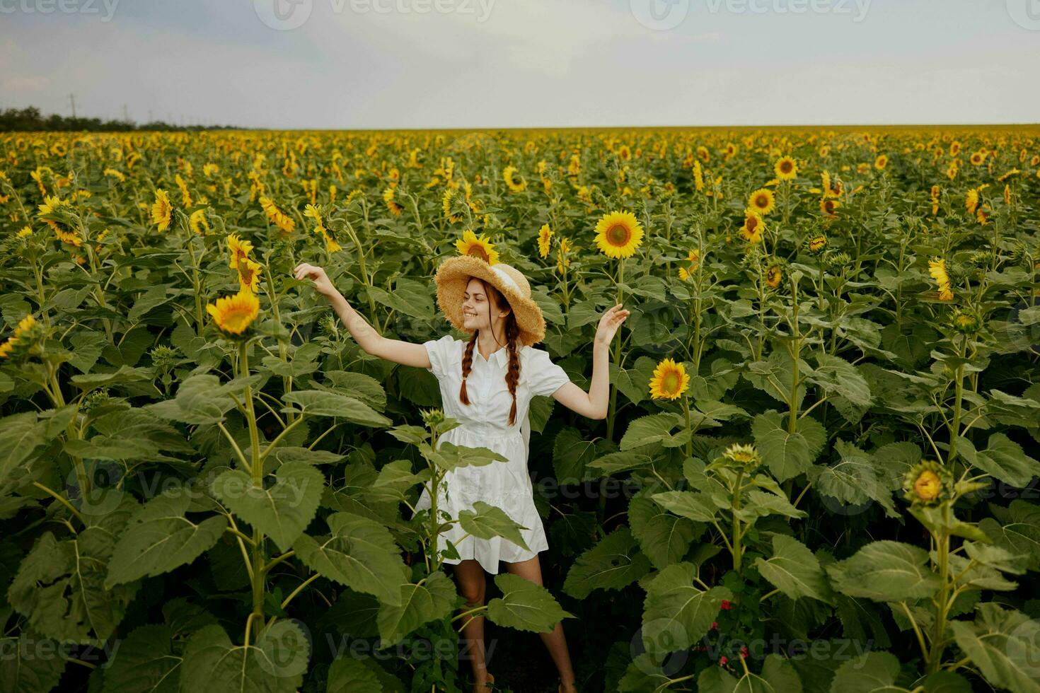 beautiful sweet girl in a hat on a field of sunflowers landscape photo