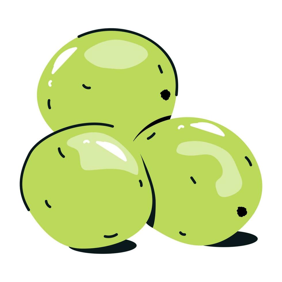 A flat icon of green macadamia vector