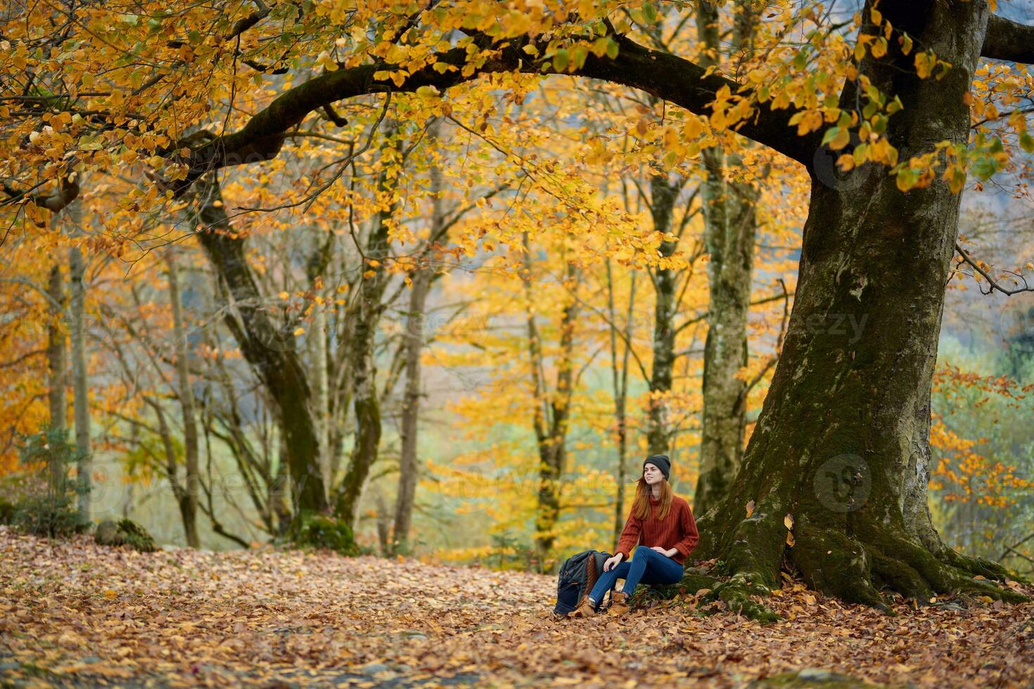 woman in jeans sweater sits under a tree in autumn forest and fallen leaves model photo