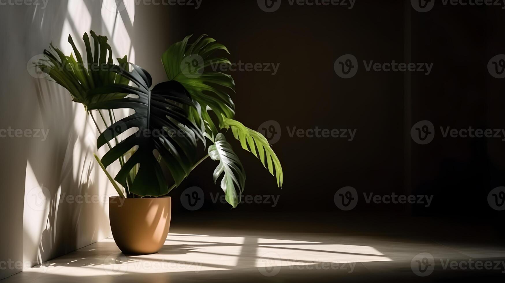 a room with a calming concept decorated with tropical plants in the sunlight , photo