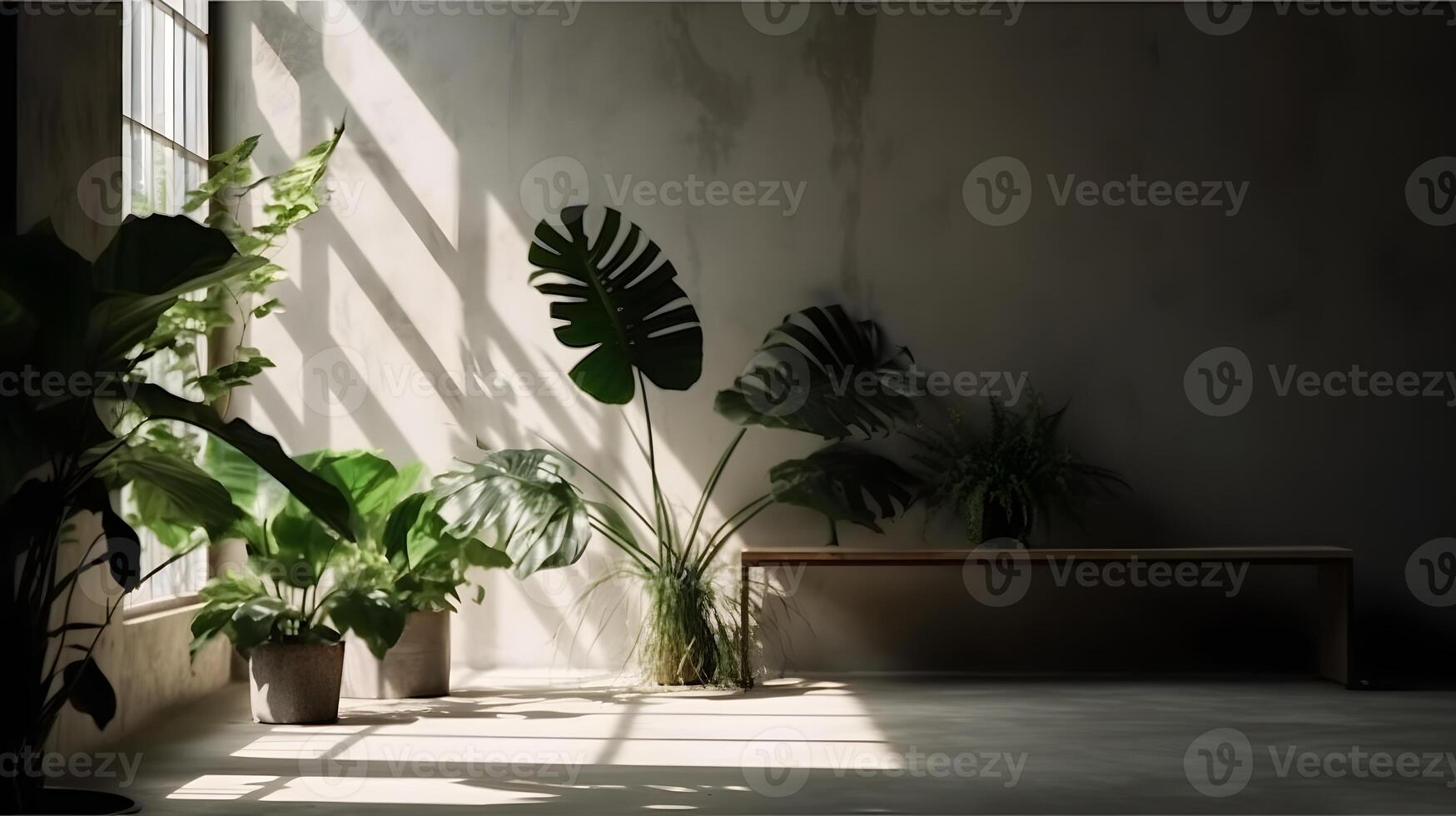 Summer tropical natural concept room interior , photo