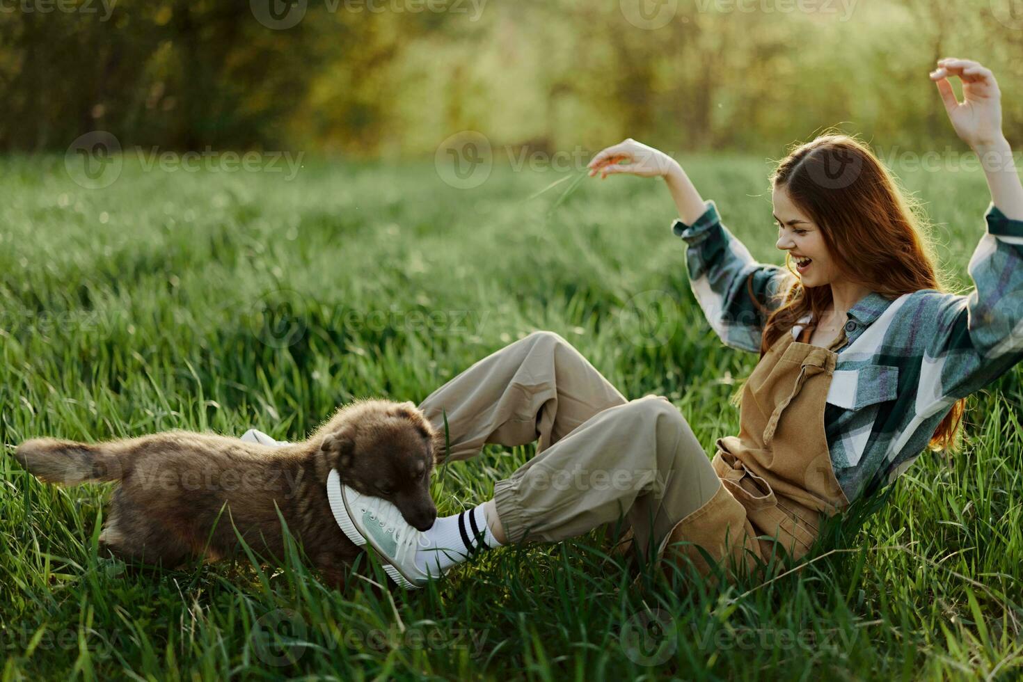 contento mujer sentado en naturaleza y jugando con su mascota en el parque sentado en el verde césped en el verano luz de sol en el noche, jugando en naturaleza foto