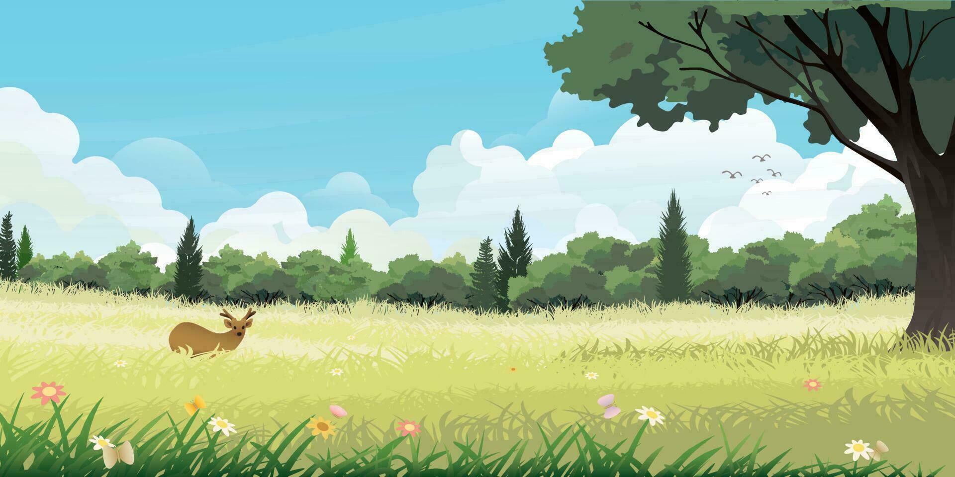 Countryside fields landscape with young deer, flowers, green hills, forest, clouds and blue sky background flat design vector  illustration.