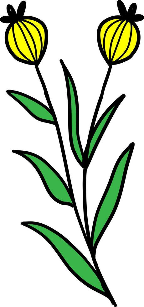Floral draw vector, outline, illustration, nature, flower, summer vector