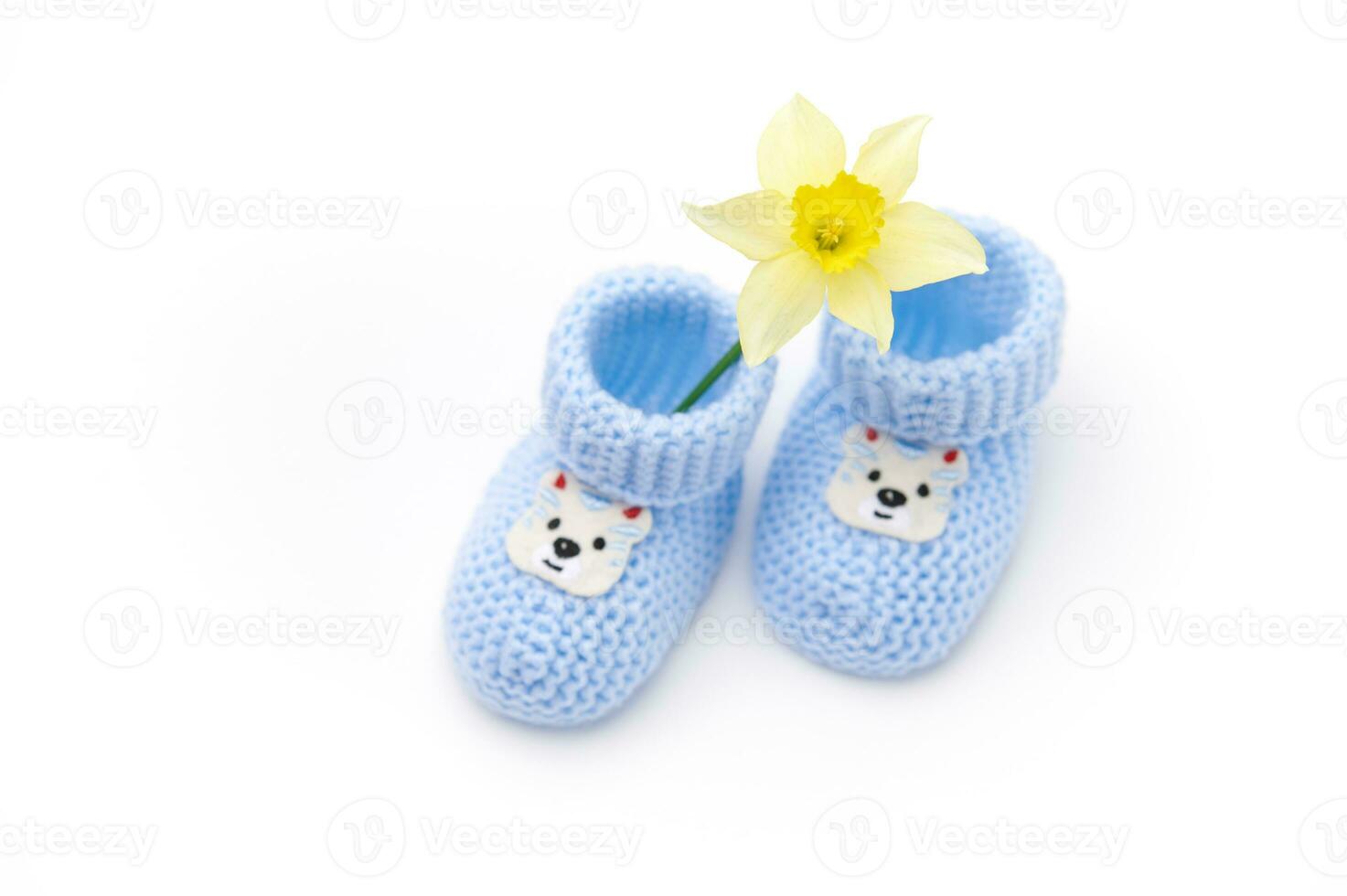 Top view pair of blue knitted baby socks with teddy bear and yellow daffodil flower, white background. Newborn clothing photo