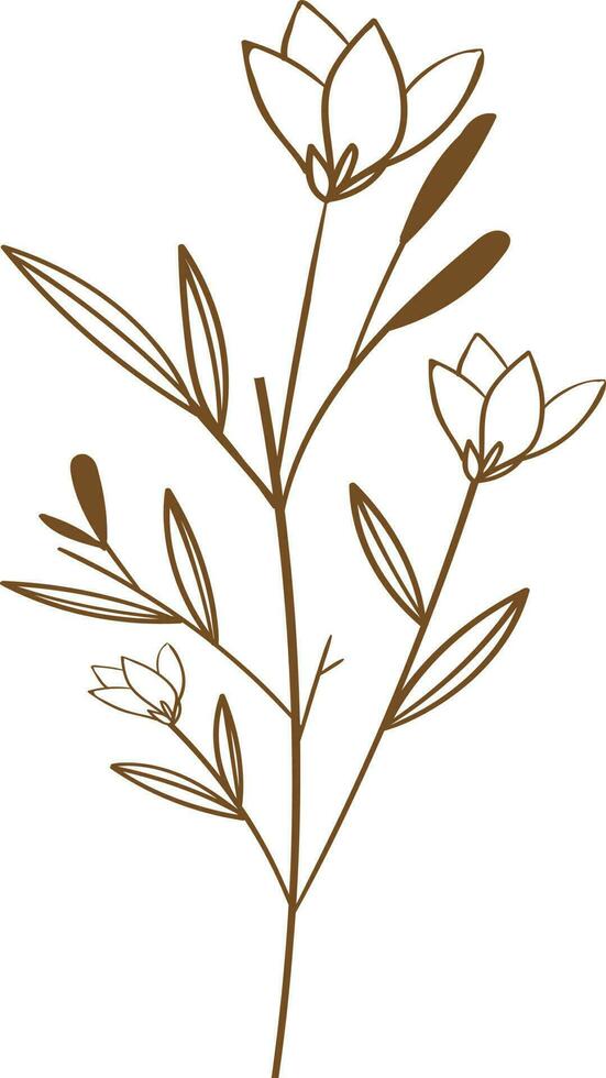 floral vector, outline, illustration, nature, flower, summer vector