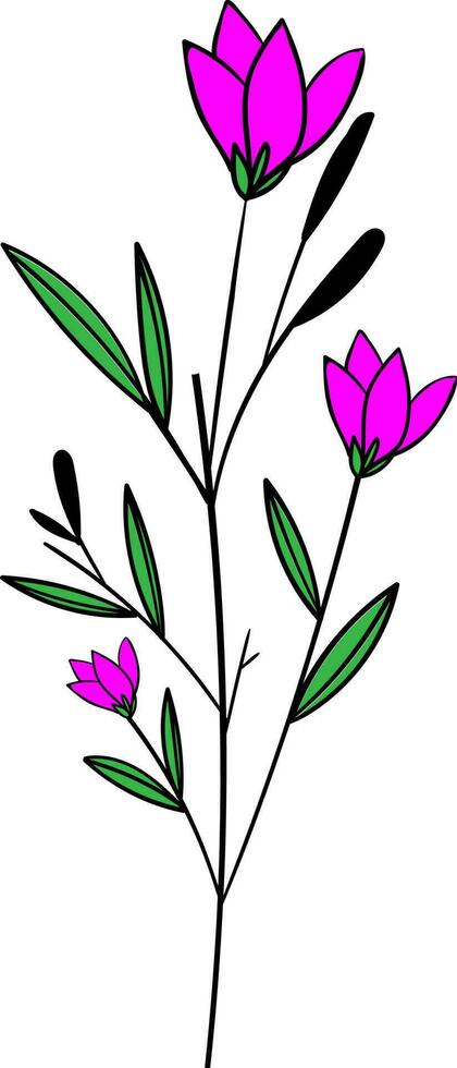 Floral draw vector, outline, illustration, nature, flower, summer vector