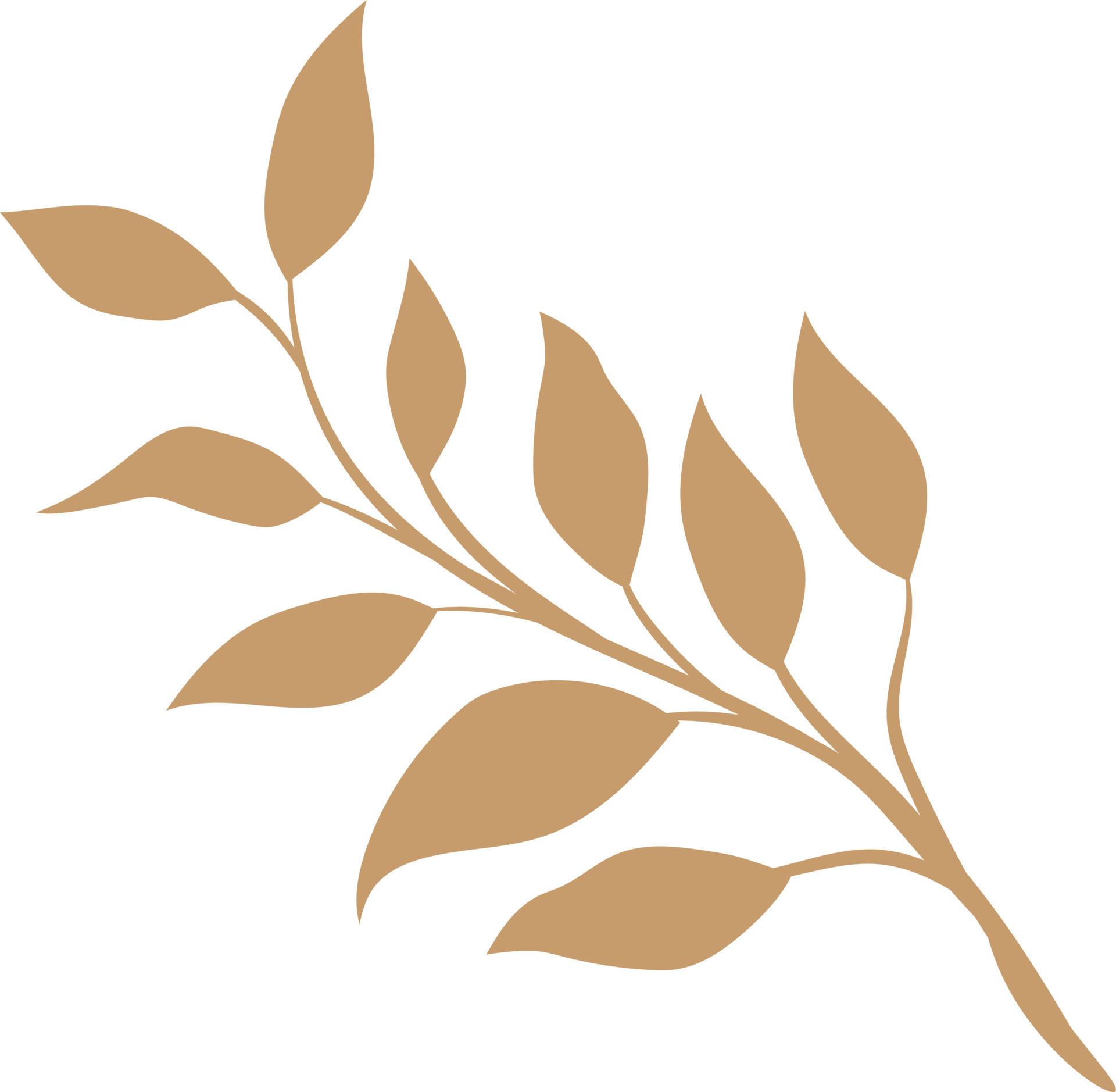 dry leaves, vector, illustration, plant, forest, tree, natural, brown