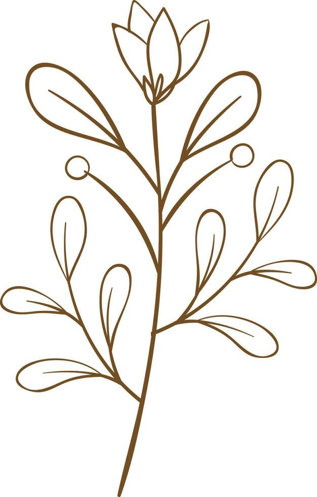 floral vector, outline, illustration, nature, flower, summer vector