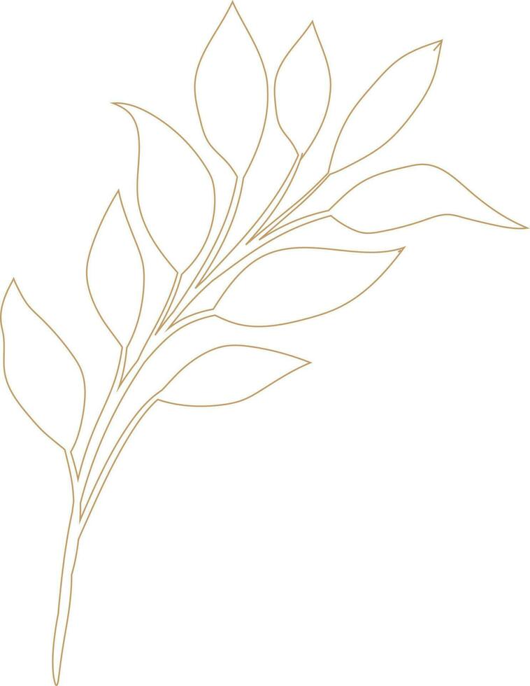 floral vector, outline, illustration, nature, flower, summer vector