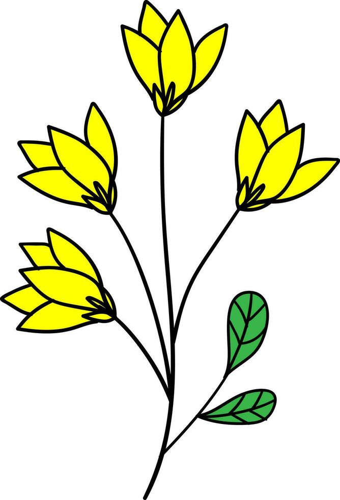 Floral draw vector, outline, illustration, nature, flower, summer vector