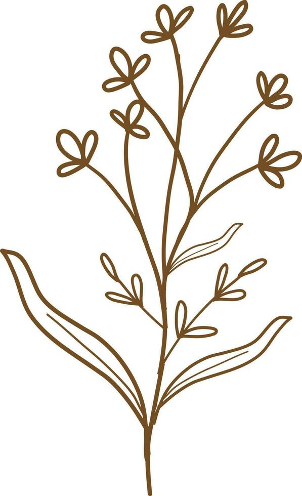floral vector, outline, illustration, nature, flower, summer vector