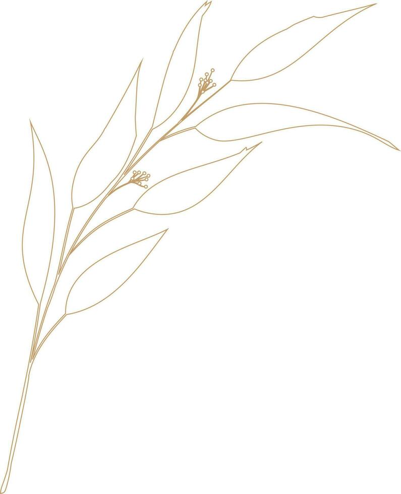 floral vector, outline, illustration, nature, flower, summer vector