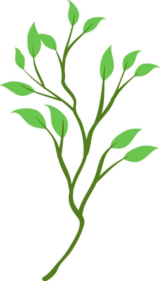floral vector, outline, illustration, nature, flower, summer vector