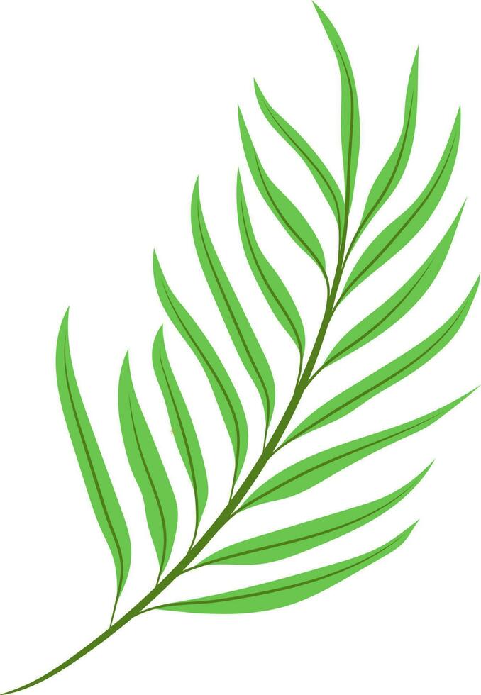 floral vector, outline, illustration, nature, flower, summer vector
