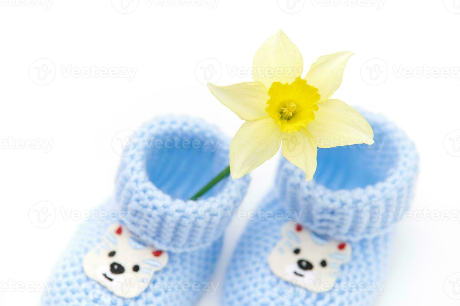 Close-up top view of pair of blue cute knitted baby socks, booties and yellow daffodil flower. Newborn clothing. Fashion photo