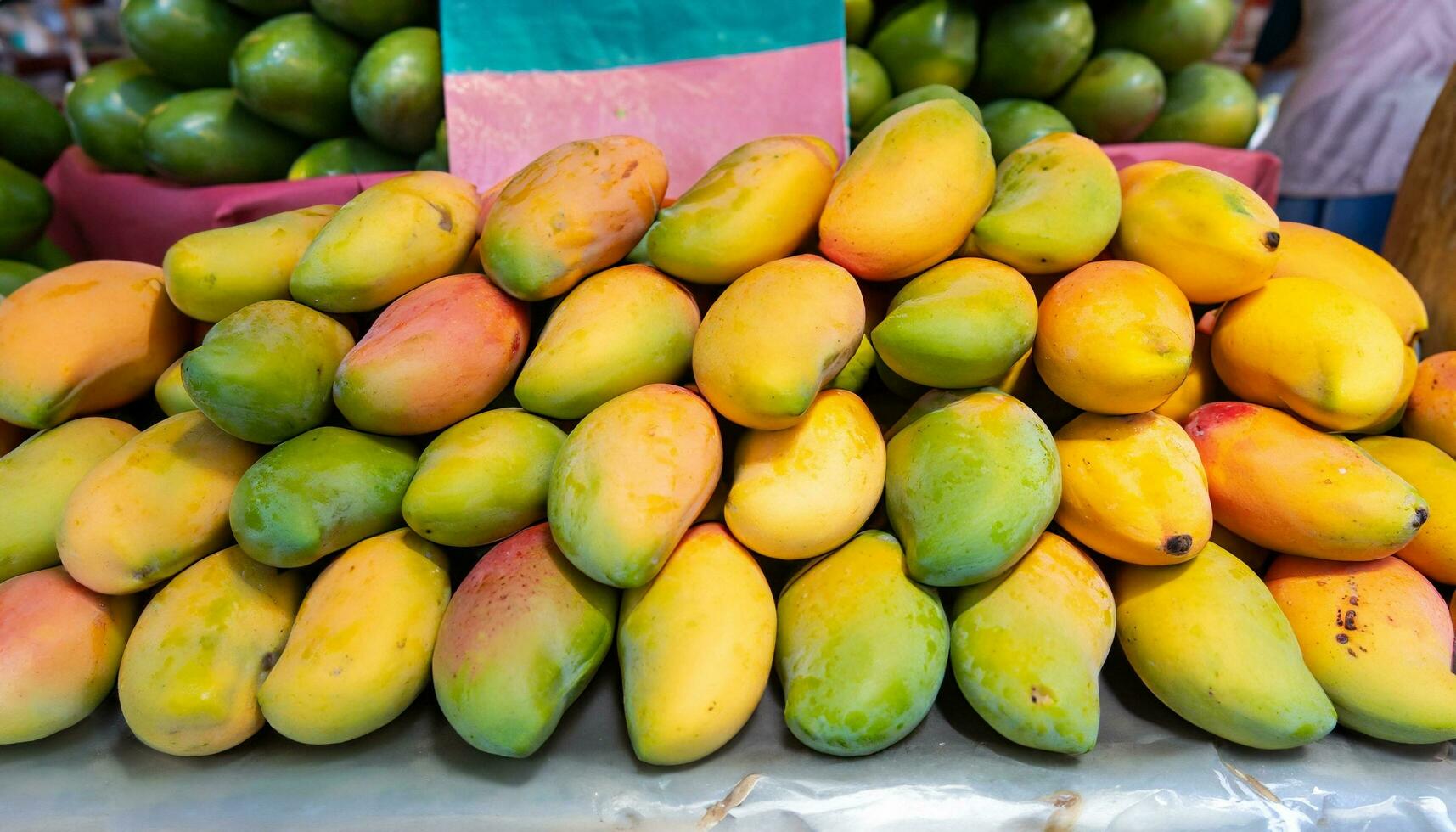 Mango fruit hanging on a tree with a rustic wooden table photo