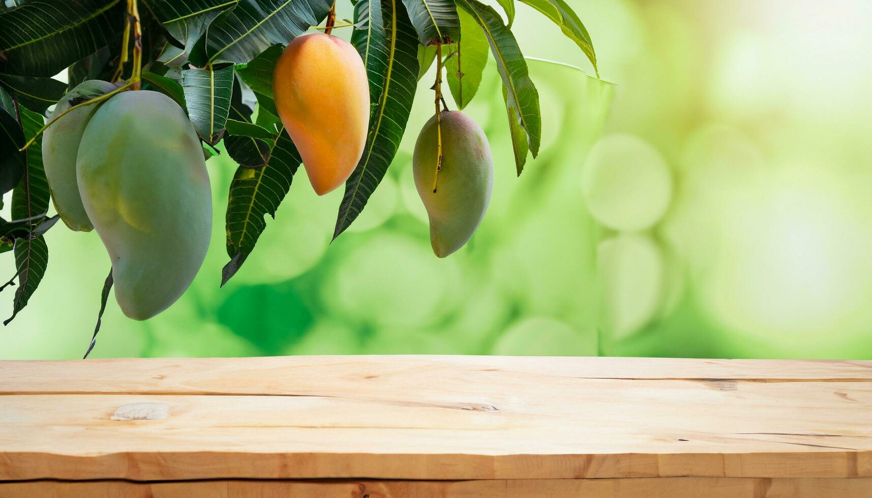 Mango fruit hanging on a tree with a rustic wooden table photo
