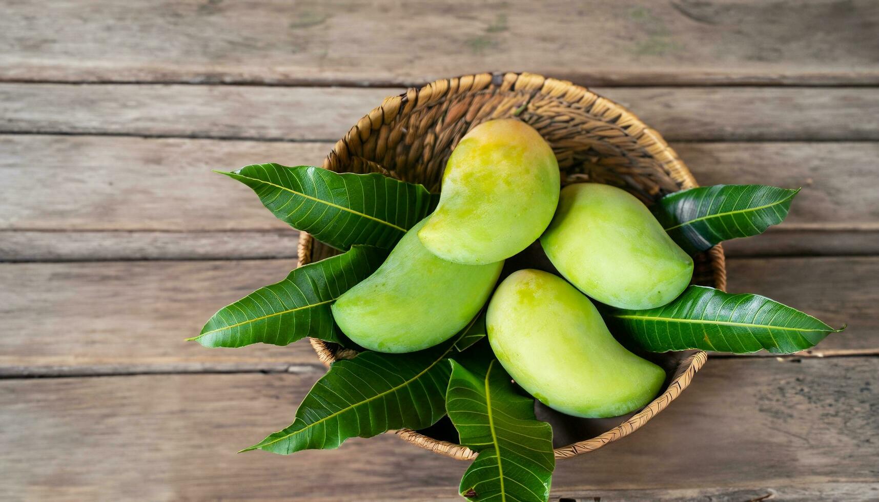 Mango fruit hanging on a tree with a rustic wooden table photo