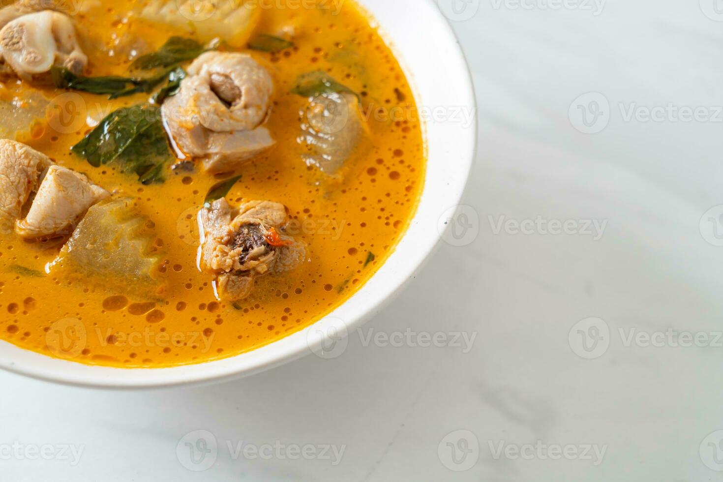 Chicken curry soup with roti photo