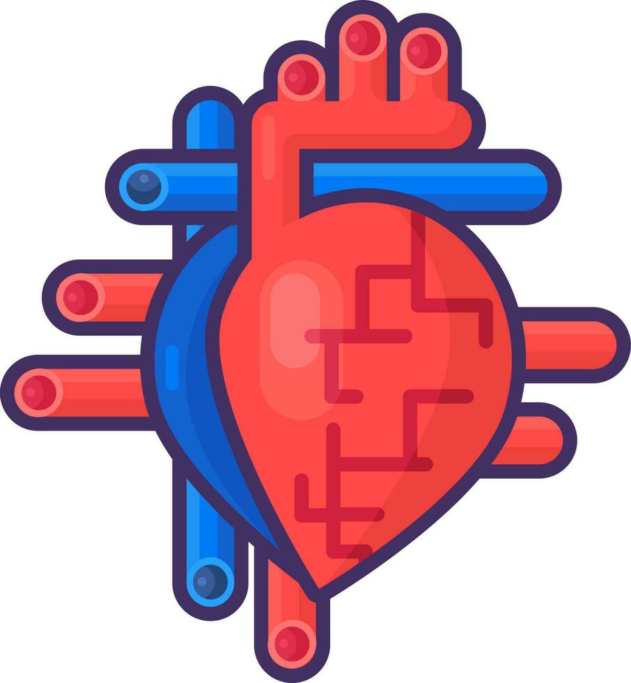 Human Healthy Heart Organ Arteries Vessels Stroke vector