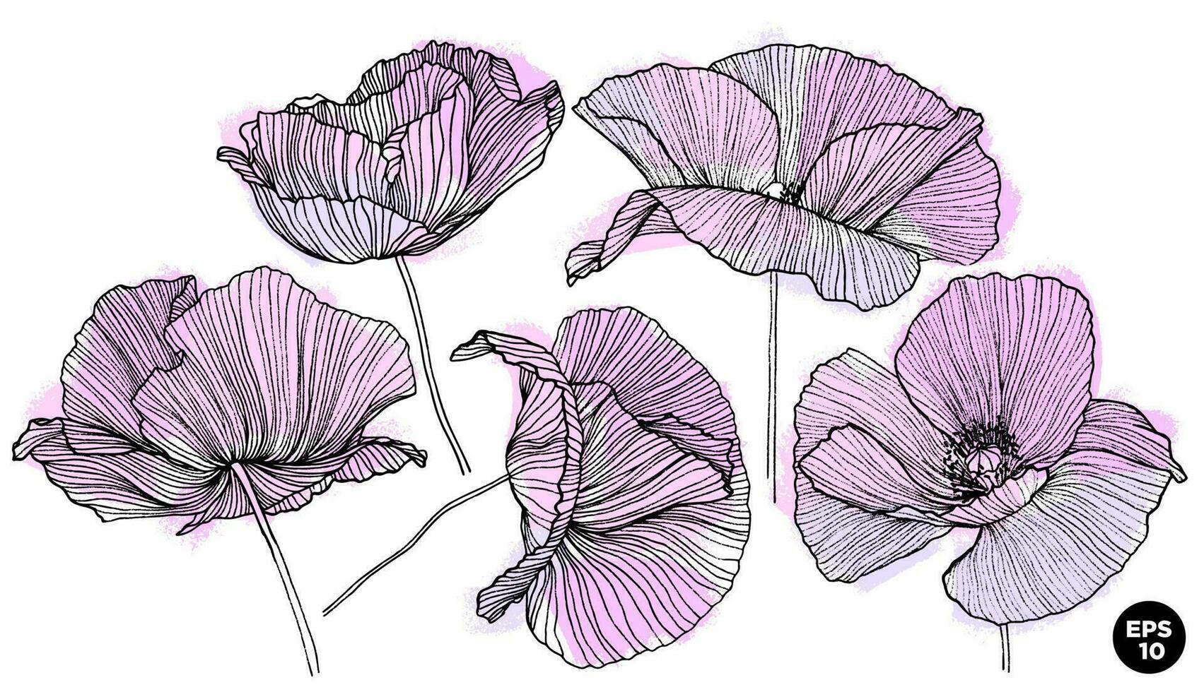 Vector hand drawn flowers. Linear graphic poppy flowers with dry brush textured strokes. Botanical elements set.
