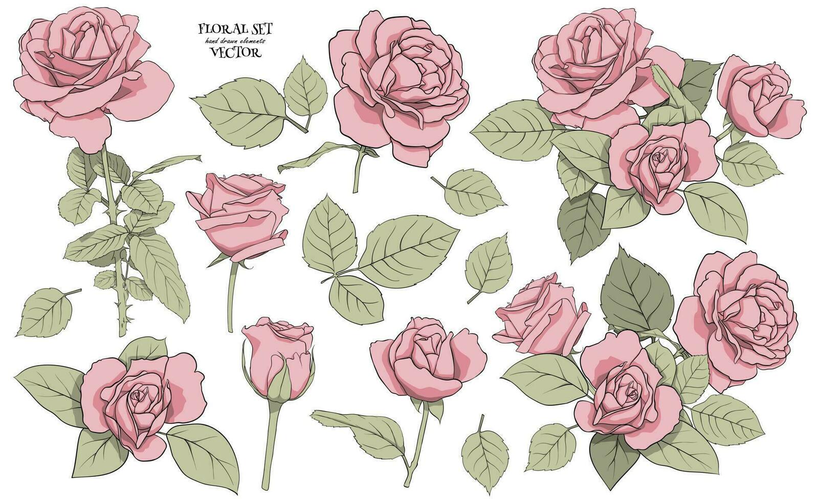 Floral set of delicate roses with leaves. Set for drawing up flower compositions for decoration, design of cards, textile, paper, prints, fabric, etc. Vector graphics.