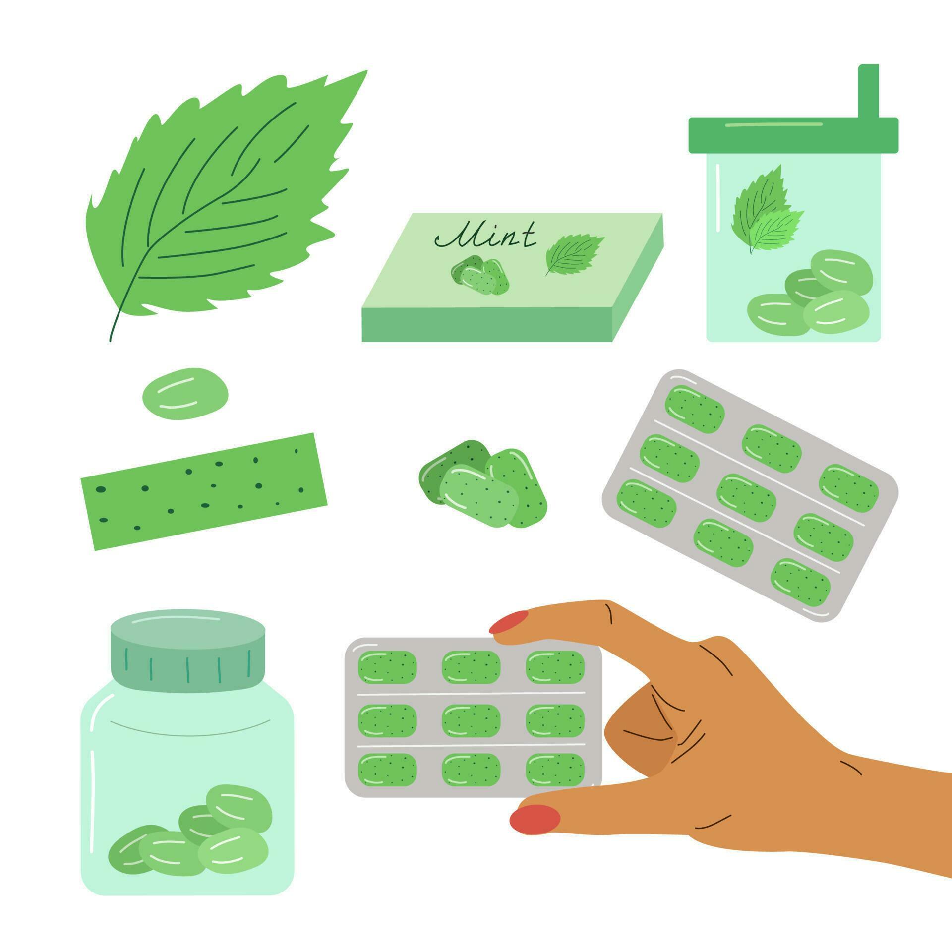 Set mint flavor chewing gum. mouth freshener. 23735127 Vector Art at