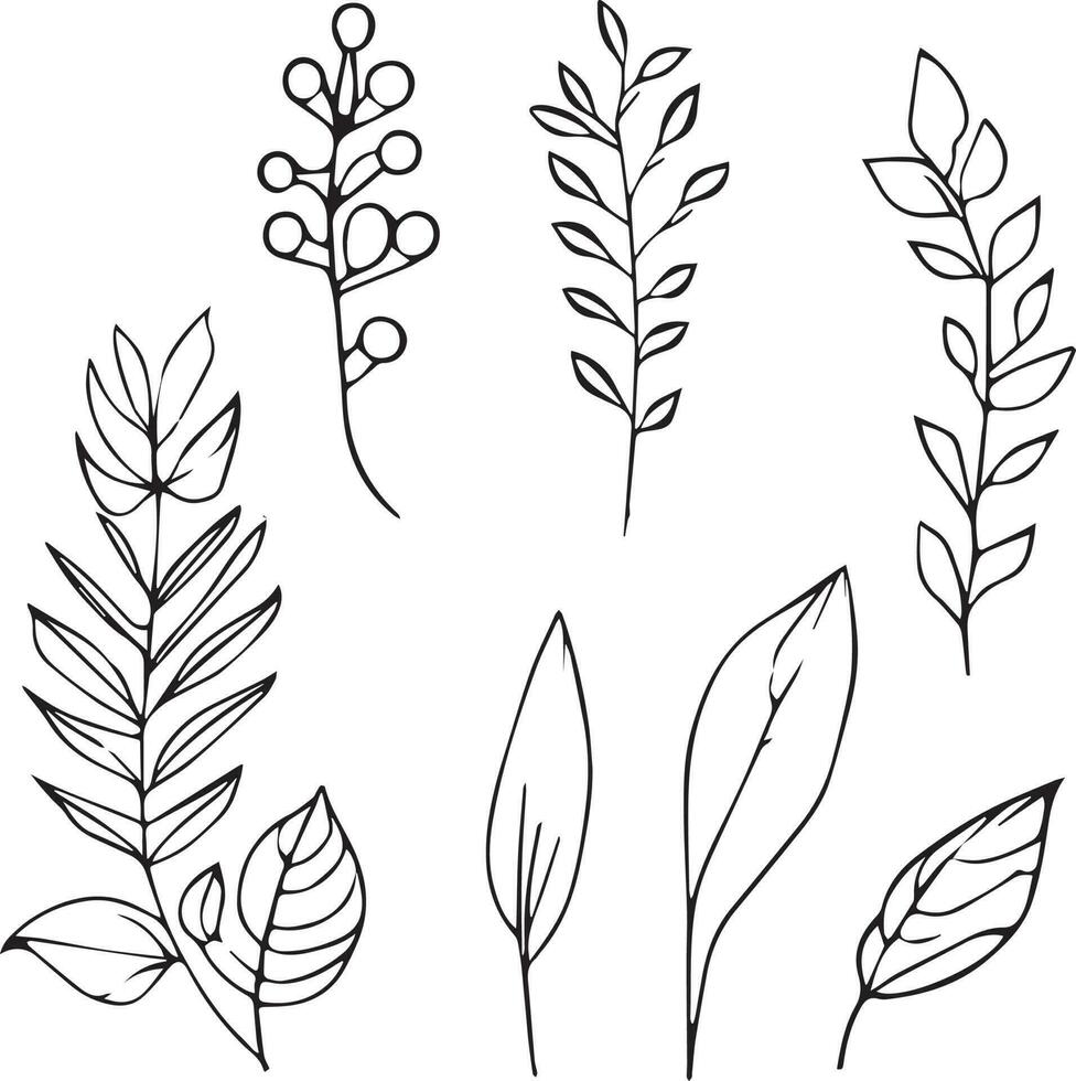 leaf line art, leaf drawings, sketch leaf drawing, art leaf design, Botanical element, botanical line drawing, vintage botanical coloring pages, botanical elements, botanical flower illustration. vector