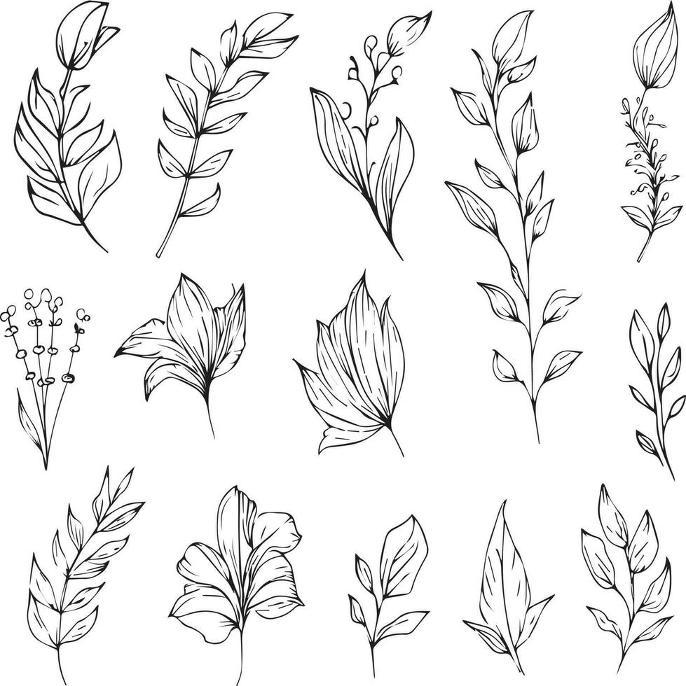 Set of a decorative stylized botanical flowers and leafs isolated on white background. Highly detailed botancal line drawing and doodling art, minimisis botanical tattoo design. vector