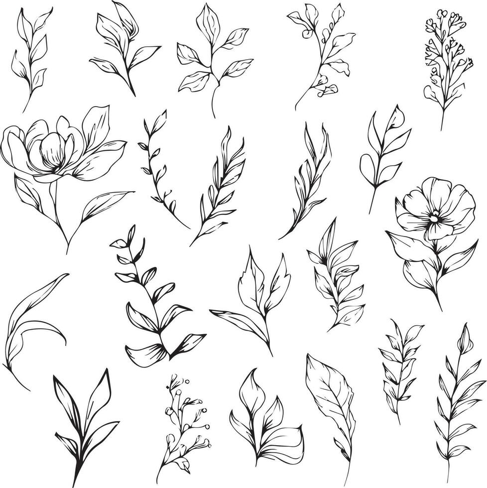 Botancal Doodle flower line art, lovely design. Easy sketch art or botanical illustration, minimilis  botamical leaf drawing, botanical vector art isolated on white background botanical clip art