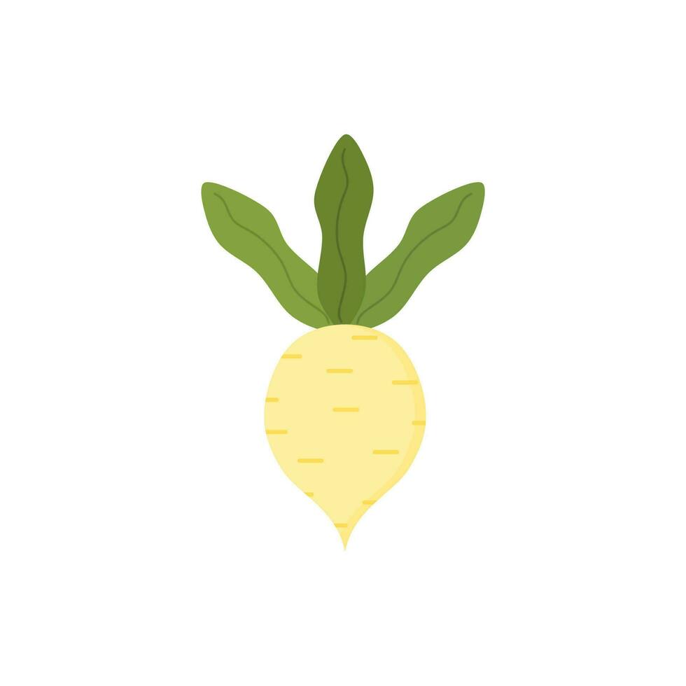 turnip flat design vector illustration