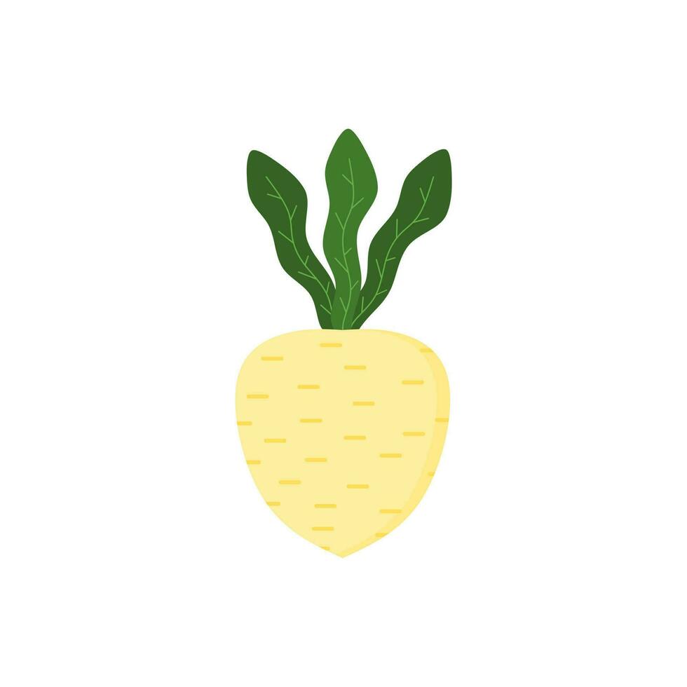 turnip flat design vector illustration