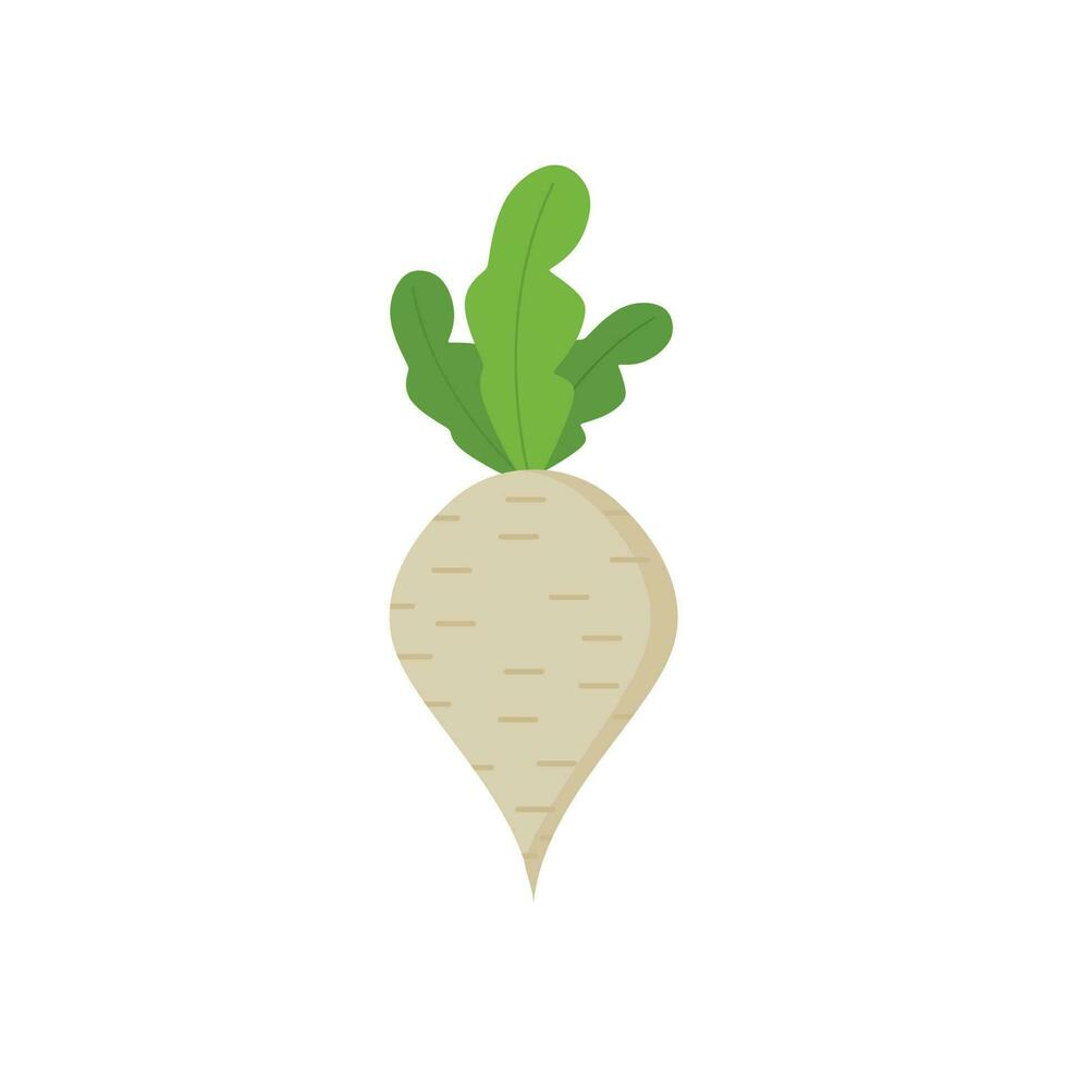 Radish or Turnip flat design vector illustration