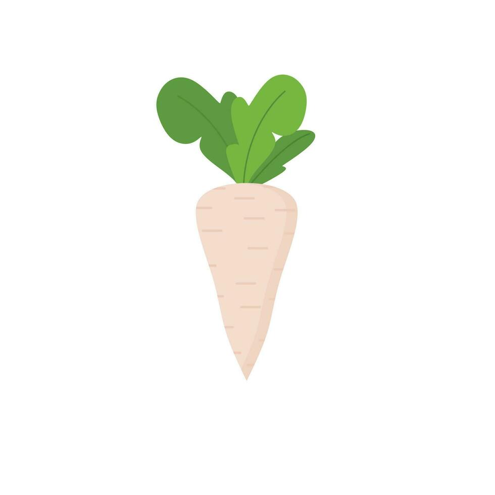 Radish or Turnip flat design vector illustration