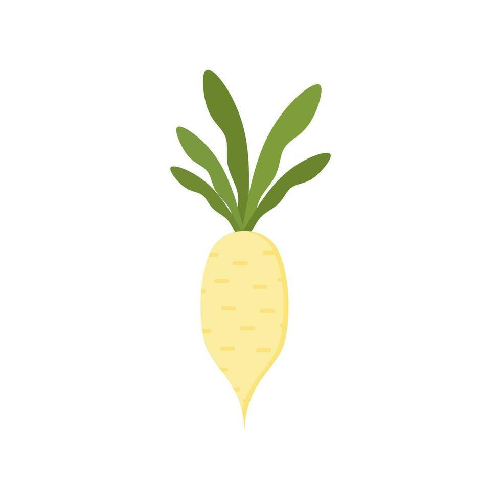 turnip flat design vector illustration