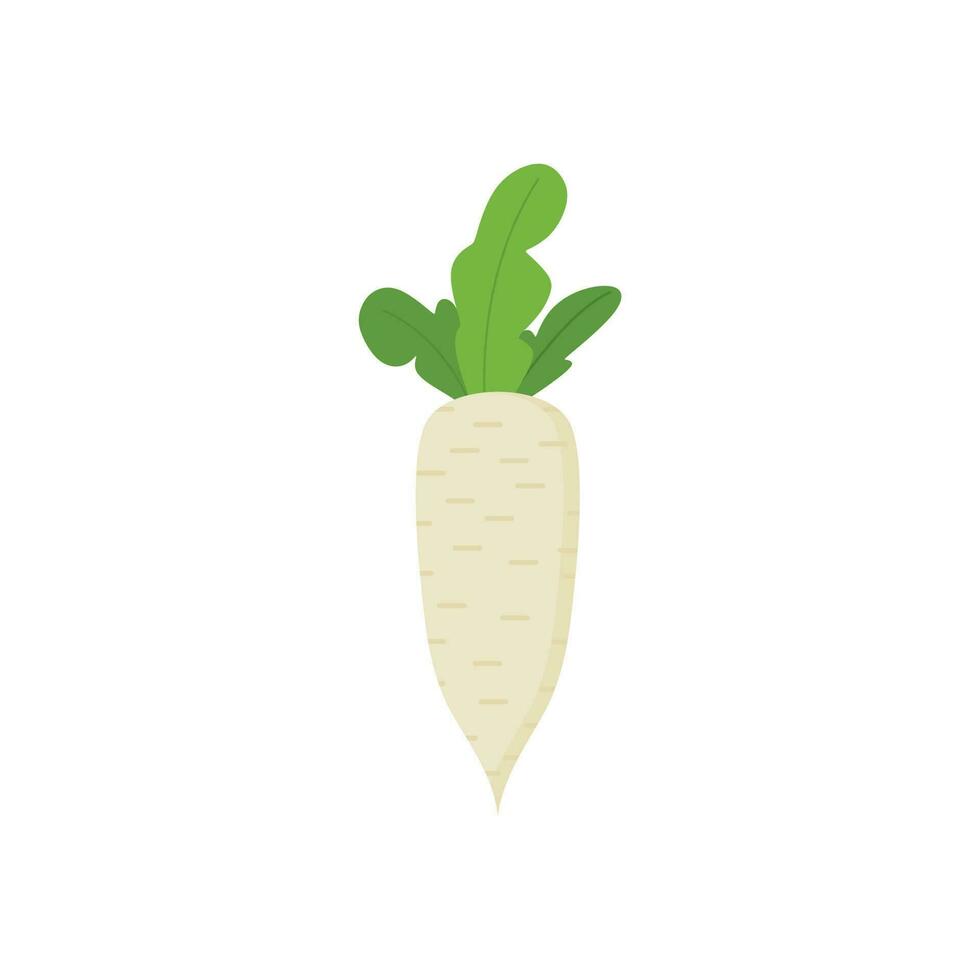 Radish or Turnip flat design vector illustration